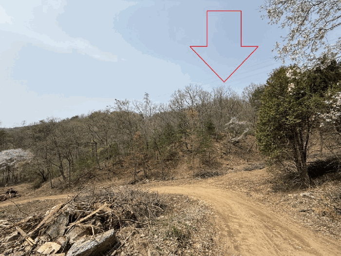 본건원경-기호(5)