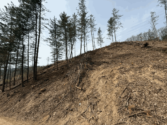 본건전경-기호(8)