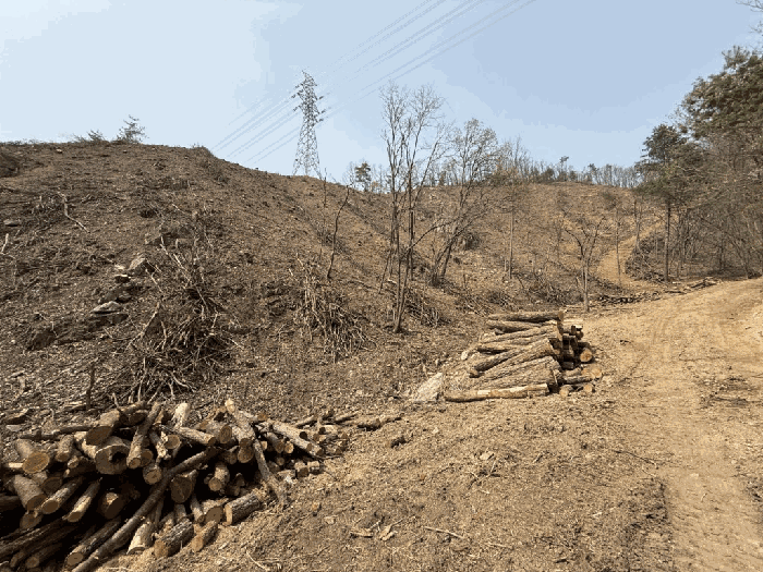 본건전경-기호(1)