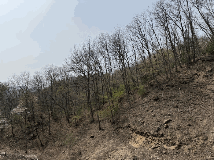 본건전경-기호(16)