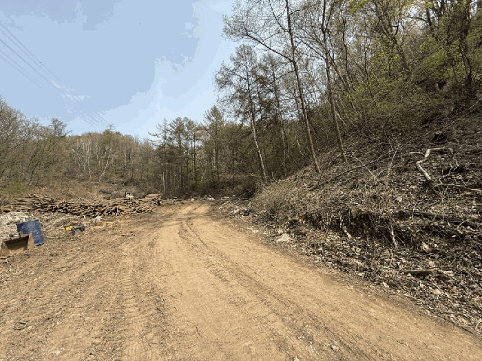 본건전경-기호(2)