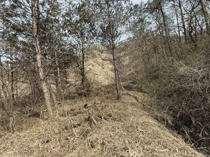 본건전경-기호(12)