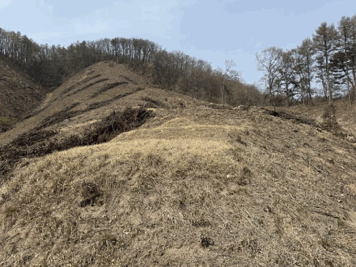 본건전경-기호(17) 및 분묘