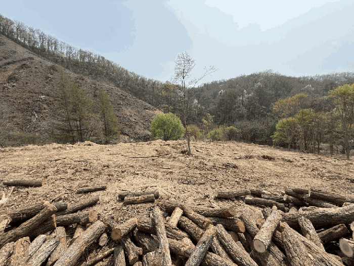 본건전경-기호(14)