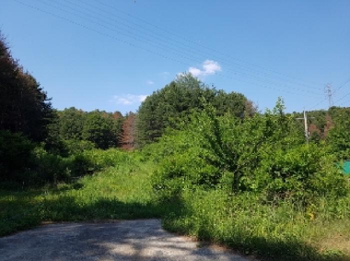 제시부동산 목록1-19번 전경1