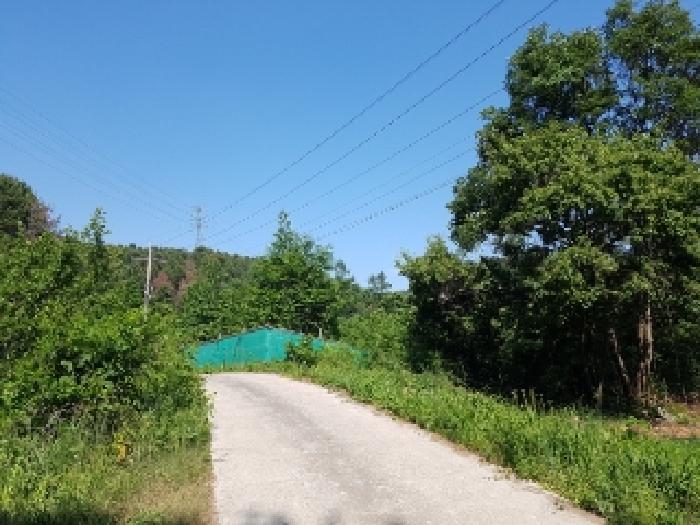 제시부동산 목록1-19번 전경2