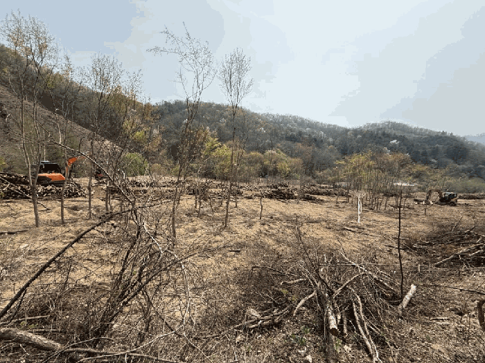 본건전경-기호(8)