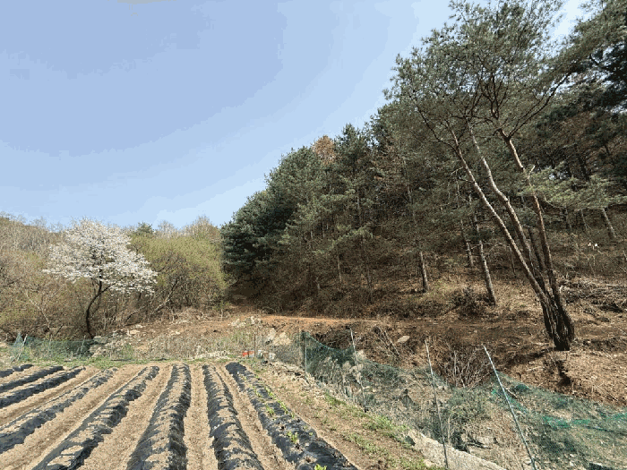 본건전경-기호(15)