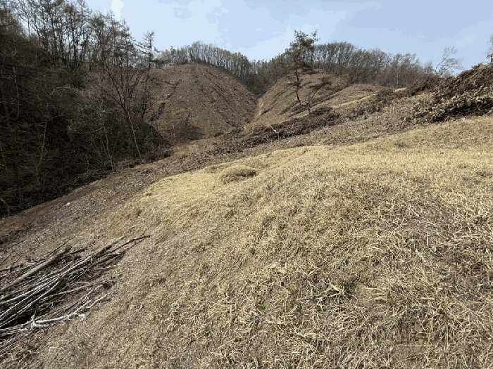 본건전경-기호(19) 분묘