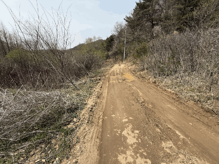본건전경-기호(6) 도로부분