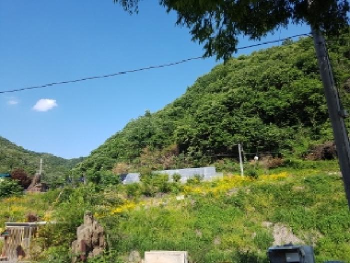 제시부동산 목록