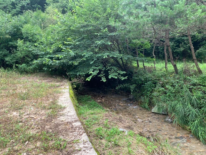 일련번호6 주변 구거