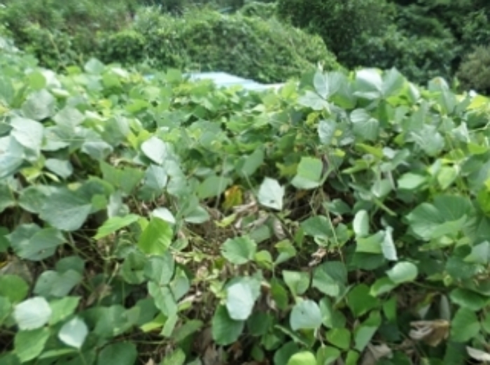 목록6 용도 미상 구조물