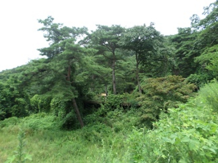 목록1 토지 수목 