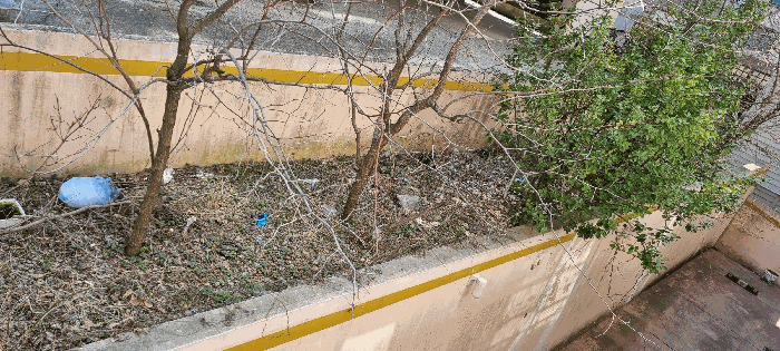 [제시외 물건 ㄴ(화단과 수목)]