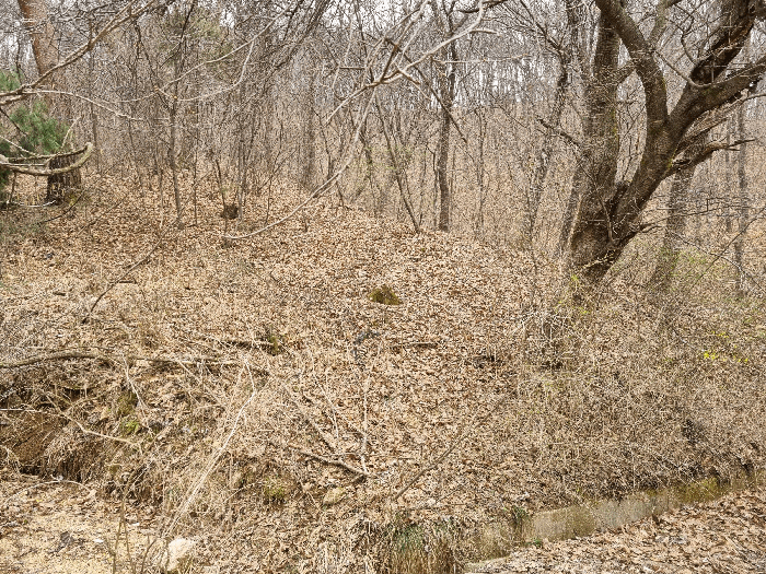 기호 1임야 동측 경계