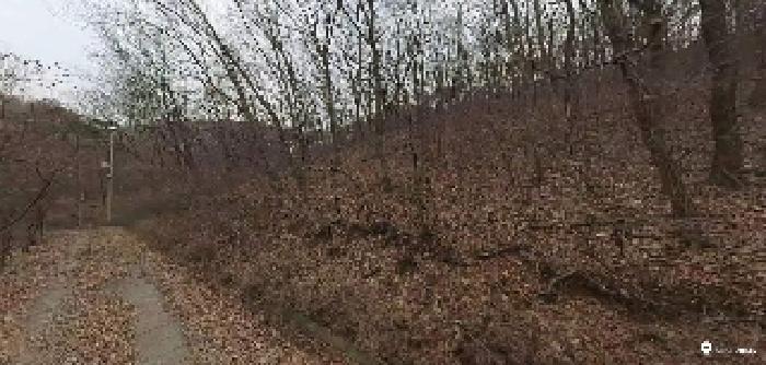 부동산표시목록 1번 토지(임야)-임도가 통과하고 있음