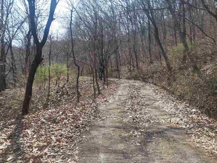 부동산표시목록 1번 토지(임야)-임도가 통과하고 있음