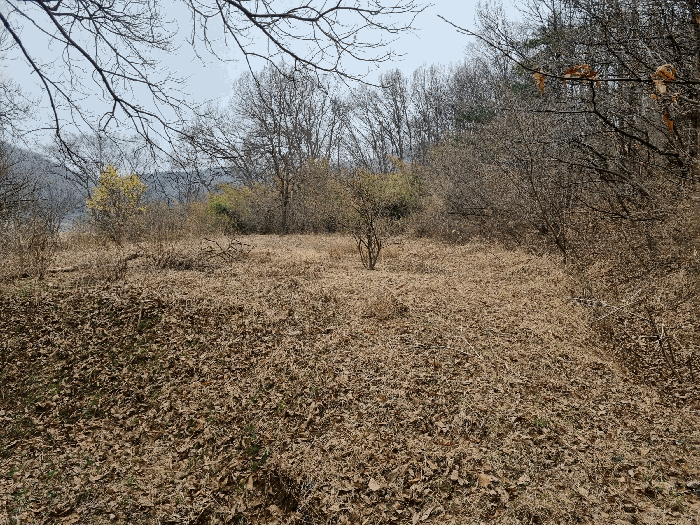 기호 2임야 서남측면