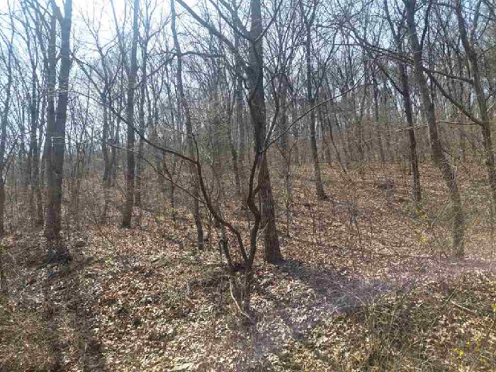 부동산표시목록 1번 토지(임야)