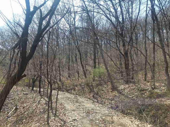 부동산표시목록 1번 토지(임야)