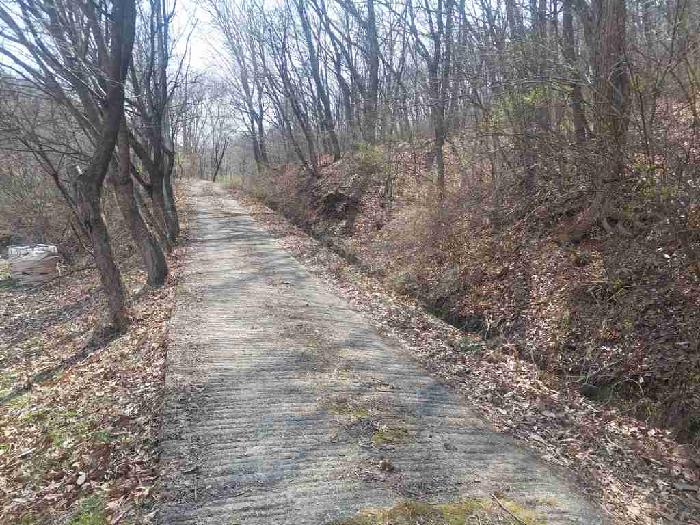 부동산표시목록 1번 토지(임야)