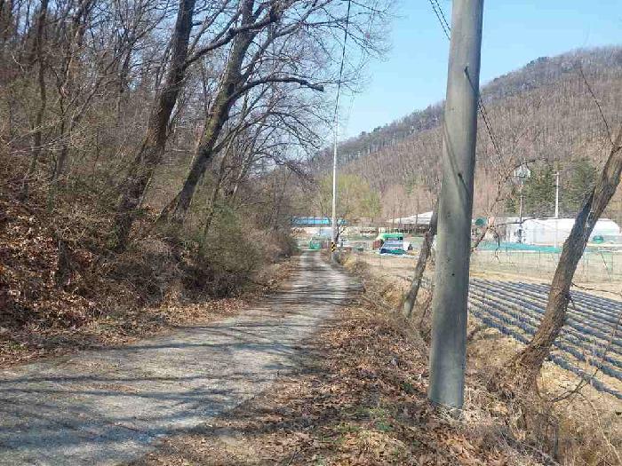 부동산표시목록 1번 토지(임야)