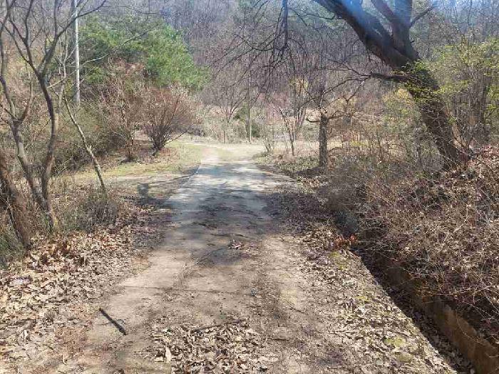 부동산표시목록 1번 토지(임야)