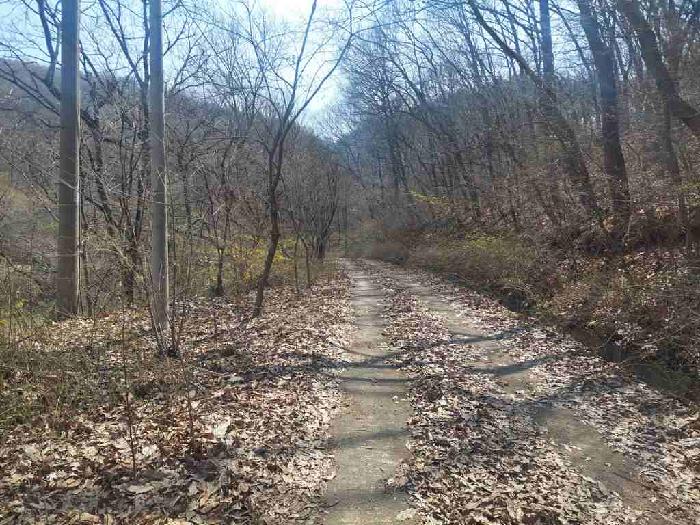 부동산표시목록 1번 토지(임야)