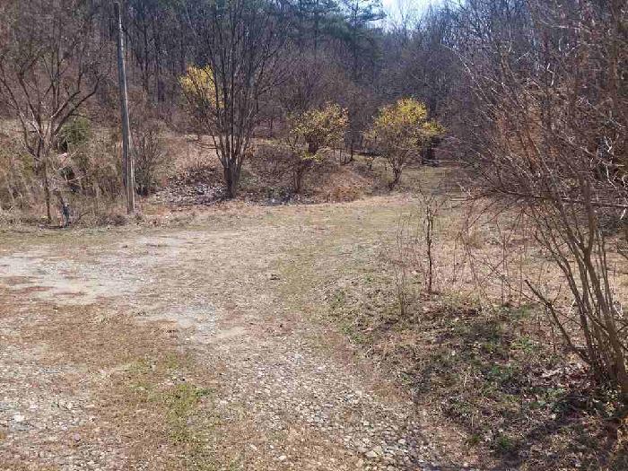 부동산표시목록 2번 토지(임야)