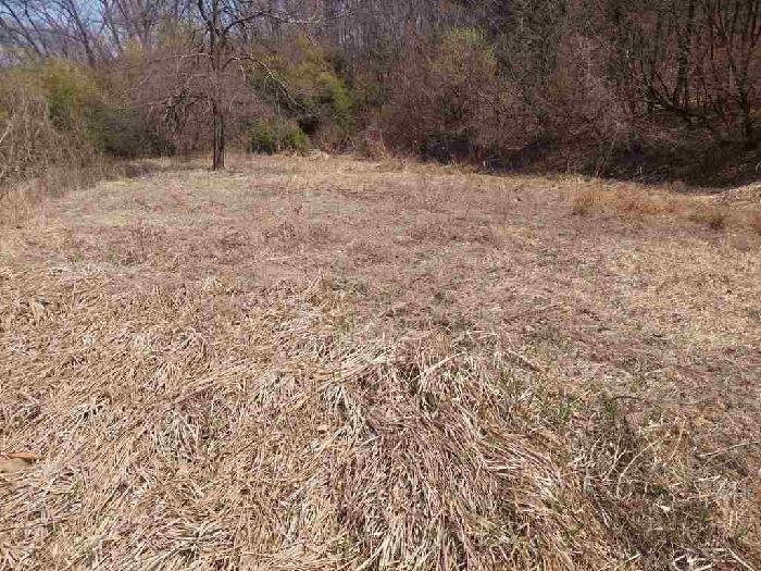 부동산표시목록 2번 토지(임야)