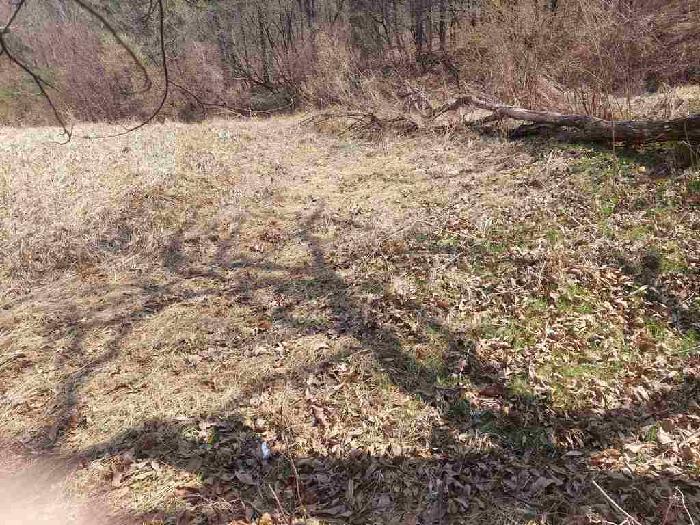 부동산표시목록 2번 토지(임야)