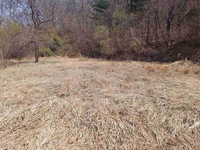 부동산표시목록 2번 토지(임야)