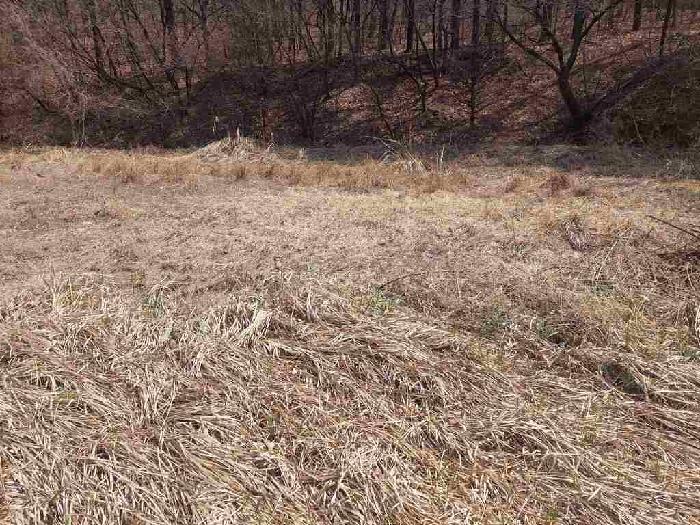 부동산표시목록 2번 토지(임야)