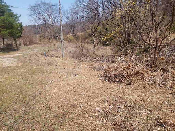 부동산표시목록 2번 토지(임야)