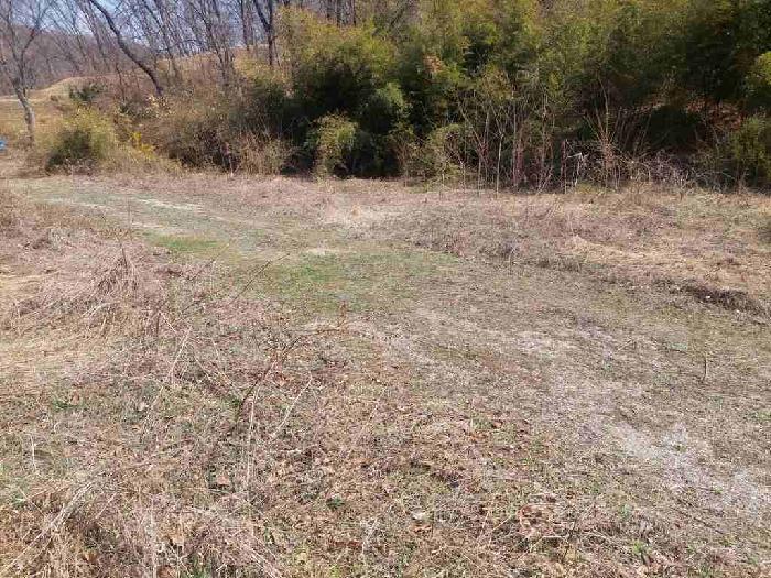 부동산표시목록 2번 토지(임야)