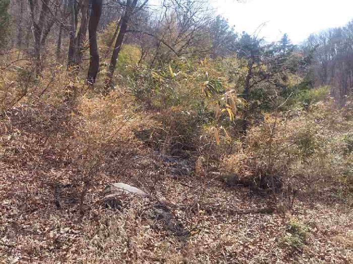 부동산표시목록 2번 토지(임야)