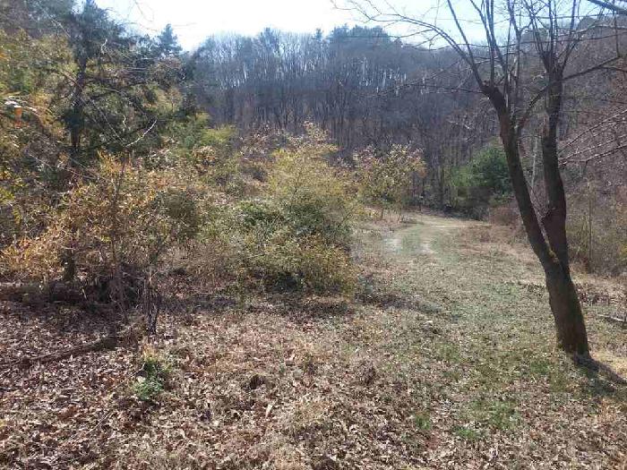 부동산표시목록 2번 토지(임야)