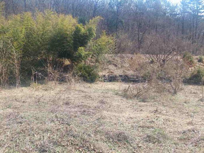 부동산표시목록 2번 토지(임야)