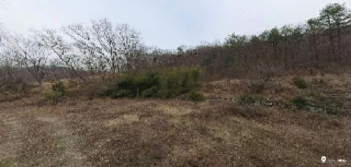 부동산표시목록 2번 토지(임야)