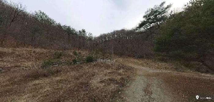 부동산표시목록 2번 토지(임야)