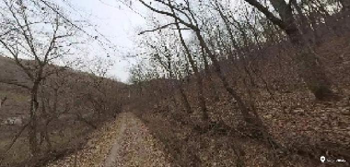 부동산표시목록 1번 토지(임야)-임도가 통과하고 있음