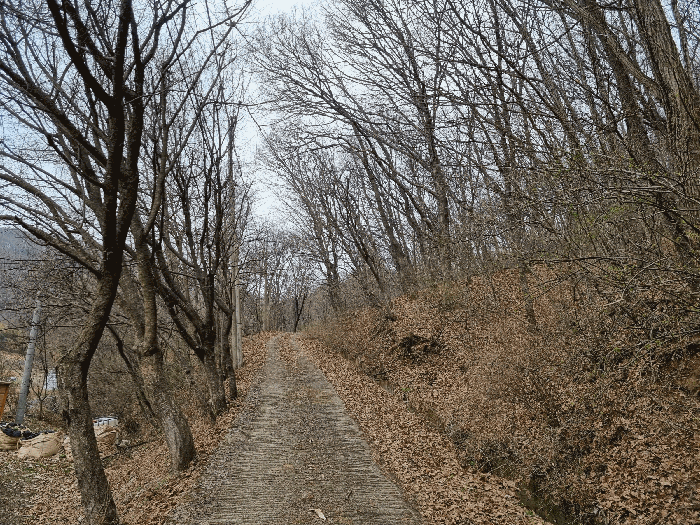 기호 1임야 하단부와 제시외 수목일부