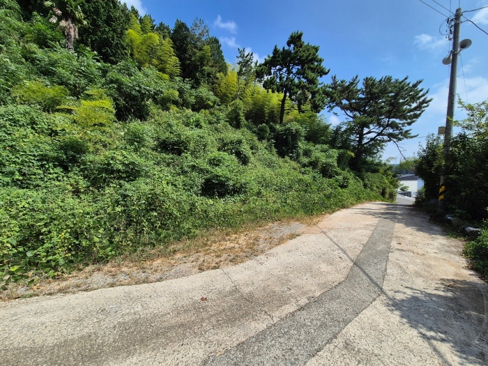 일련번호1) 토지