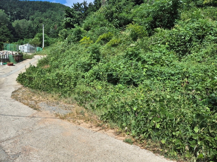 일련번호1) 토지