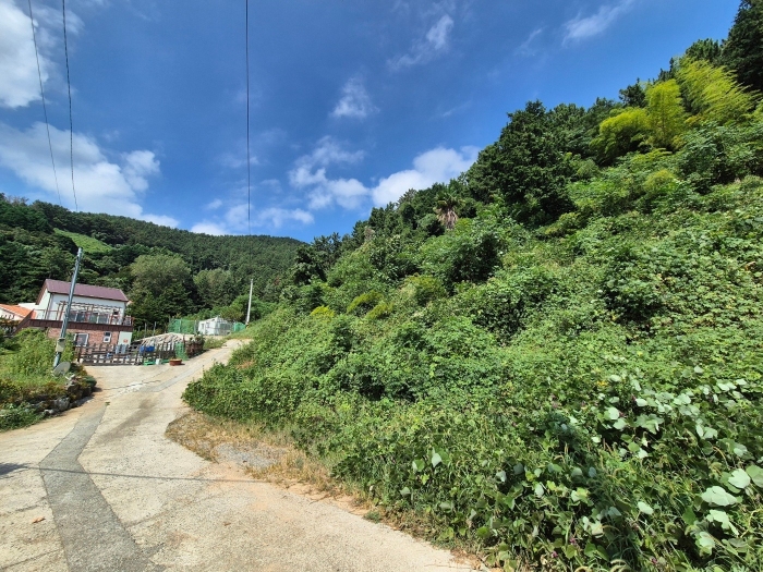 일련번호1),3) 토지