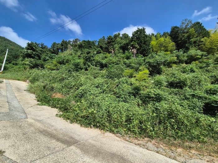 일련번호 3) 토지