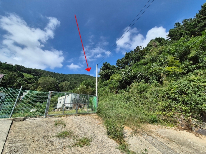 일련번호 2),4),5) 토지 