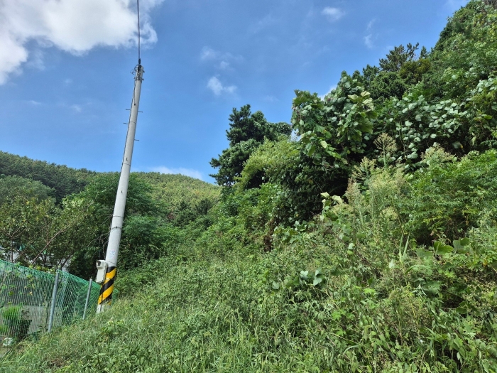 일련번호 2),4),5) 토지 