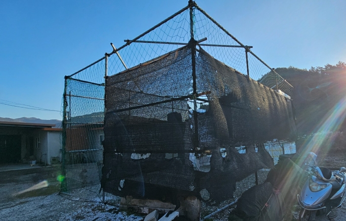 평가제외(일련번